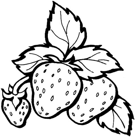 Free Printable Strawberry Coloring Pages